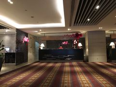 -新加坡乌节希尔顿酒店 (SG Clean)