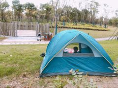 -春花秋色城市公园