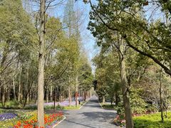 -东平国家森林公园