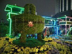 android_upload_pic-西北湖绿化广场