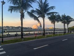 -野狸岛