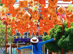 -国色天乡三期陆地乐园