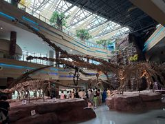 -安徽省地质博物馆