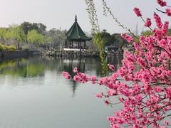 -无锡蠡湖国家湿地公园-蠡园