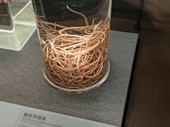 -四川大学博物馆