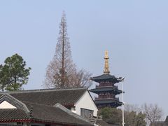 -枫桥夜泊