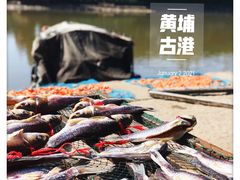 -黄埔古港