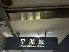 -平湖站