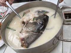 浓汤鱼头锅-肥仔文澳门猪骨煲(南京西路店)