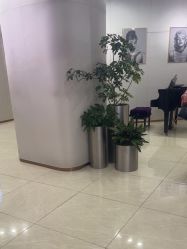 -AIST爱思特医疗美容医院