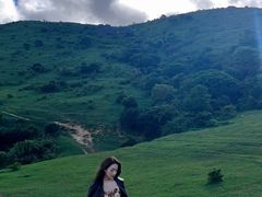-大姆山草场