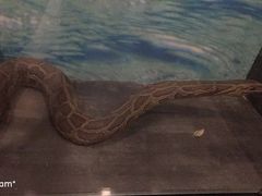 -下渚湖国家湿地公园科普馆