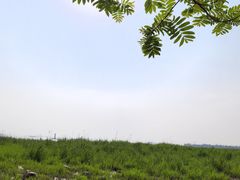 -吴淞炮台湾湿地森林公园烧烤区