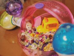 -钓仓鼠(洋桥北里小区店)