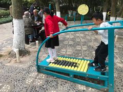 -瀛洲公园