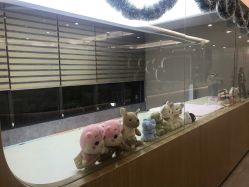 -宝生月子中心·独栋独院式(南山店)
