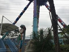 -大信·云顶星河游乐王国