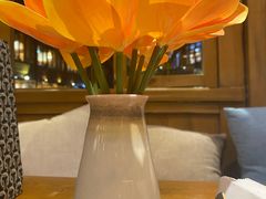 -木王宴语·野生鲜菌火锅(玉河店)