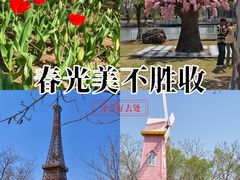 -祥源·阜阳生态乐园