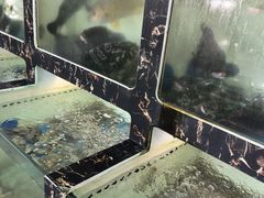 -众味海鲜大排档·活海鲜·潮汕味(南澳店)