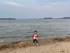 -瑶湖郊野森林公园