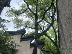 -天一阁博物院