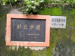-重庆彩云湖湿地公园