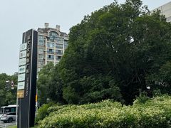 -证大大拇指广场(芳甸路店)