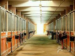 -月河湾马术俱乐部(朝阳店)