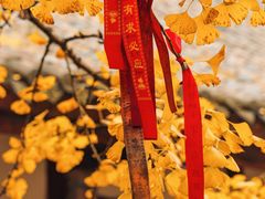 -金堂县云顶石城风景区