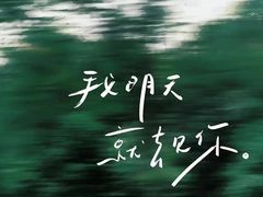 -叶子与茶(苏宁广场店)
