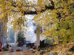 -大明山自然探索公园