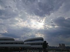 -野狸岛