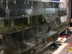 水产区-顺兴饭店(石庭东路店)