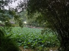 -龙头寺公园