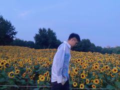 -长白岛森林公园