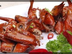 -美泉宫饭店美泉盛宴海鲜