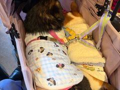 -Grande A'moo(上海万象城店)