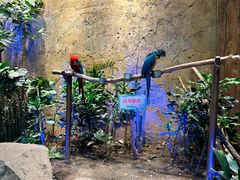 -杭州开元森泊度假乐园