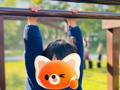 -AKA国际儿童中心Awesome Kids Academy