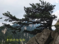 -老界岭旅游度假区