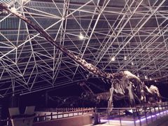 -世界恐龙谷景区