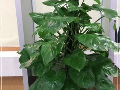 -北京市朝阳区不动产登记中心