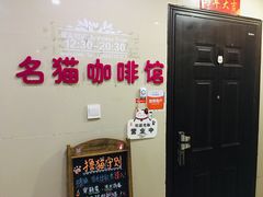 -名猫咖啡馆·撸猫·拼豆