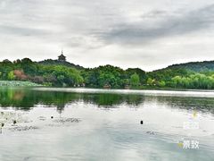 -西湖外事游船(花港观鱼码头)