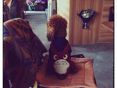 -ZooYoo佐佑咖啡(鼓楼店)