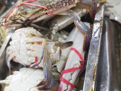 -王潮活海鲜自助·蒸汽海鲜