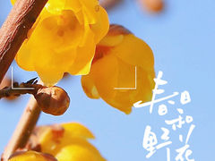-陶然亭公园