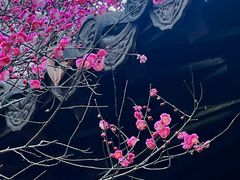-钱王祠