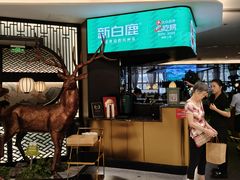 -新白鹿餐厅(虹桥南丰城店)